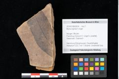 Foto (Objekt + Etikett) von Myrica lignitum Unger (NHMW-GEO-2024-0188-0624)